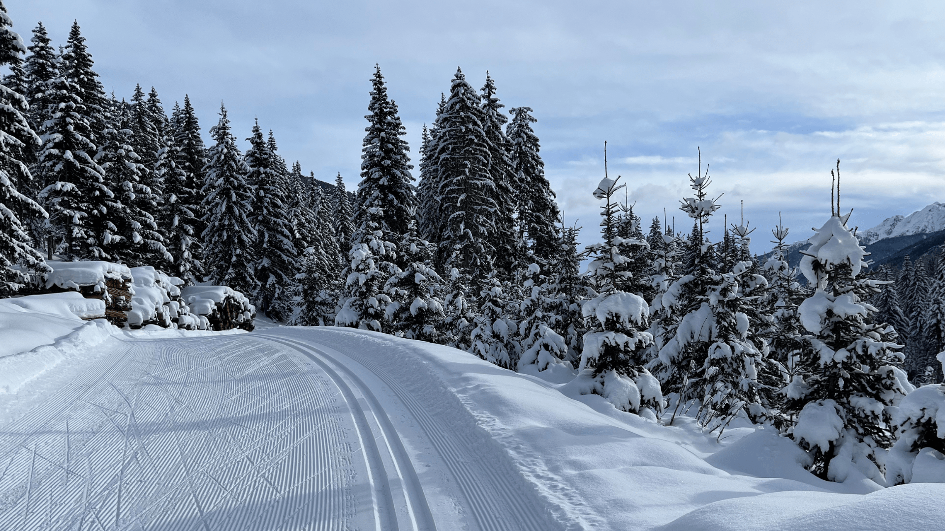 ST-pildid-Kädi-51.png