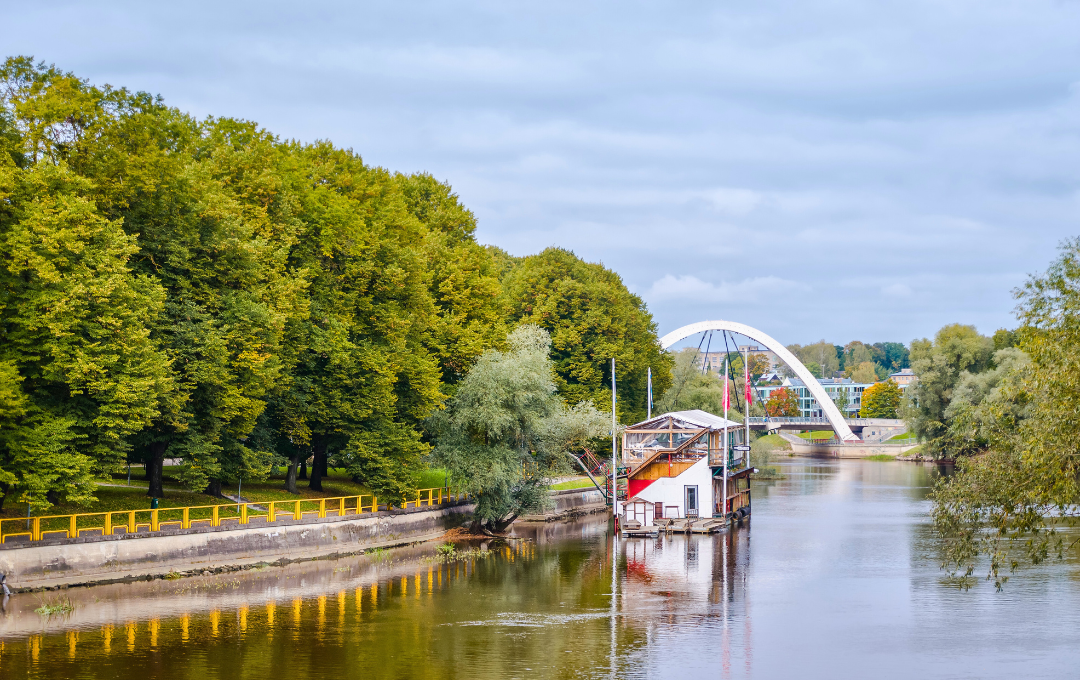 KODULEHE pildid - 2025-10-15T203624.281