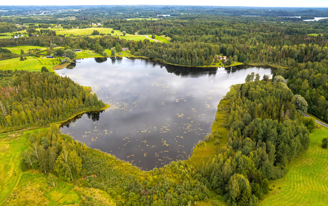 KODULEHE pildid - 2025-10-15T204315.192