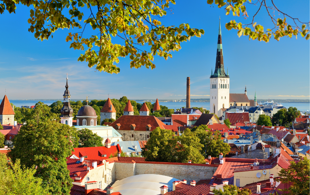 KODULEHE pildid - 2025-10-15T205138.003