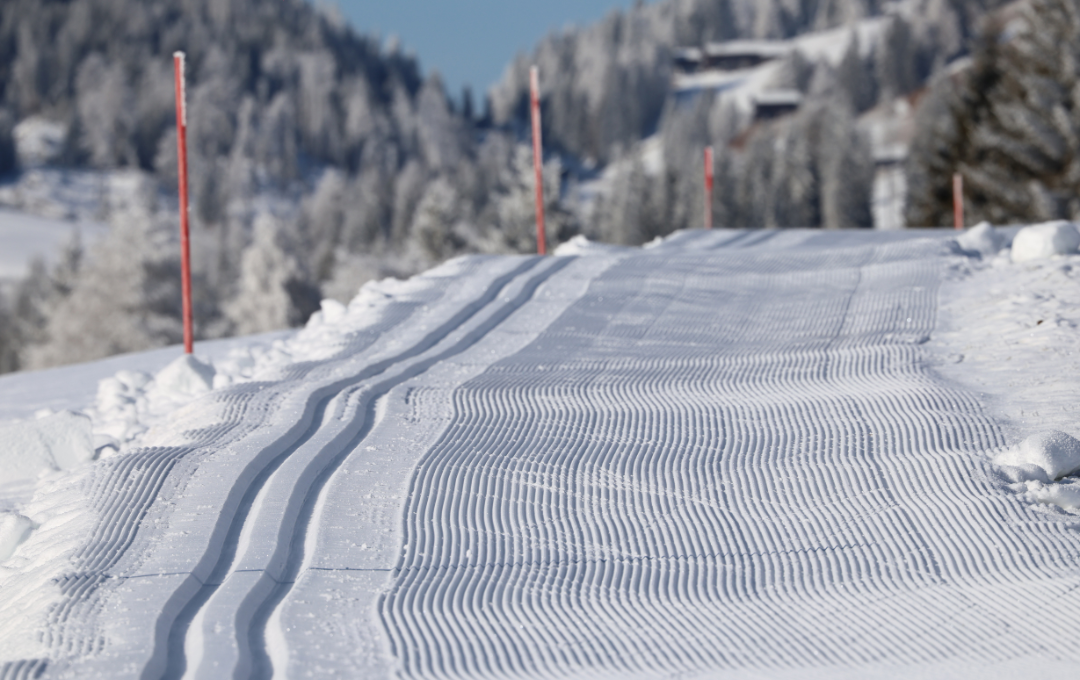 Ski training camp new 1